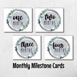 Printable Monthly Milestone Cards / Instant Download / Digital - Etsy