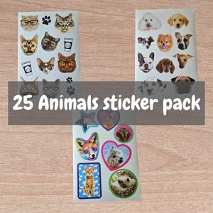 Willekeurige sticker, verpakking van 25, sticker met dierenthema, vinylsticker, laptopstickers, stickervellen, scrapbook-junkjournaling, stickers voor dagelijks gebruik.