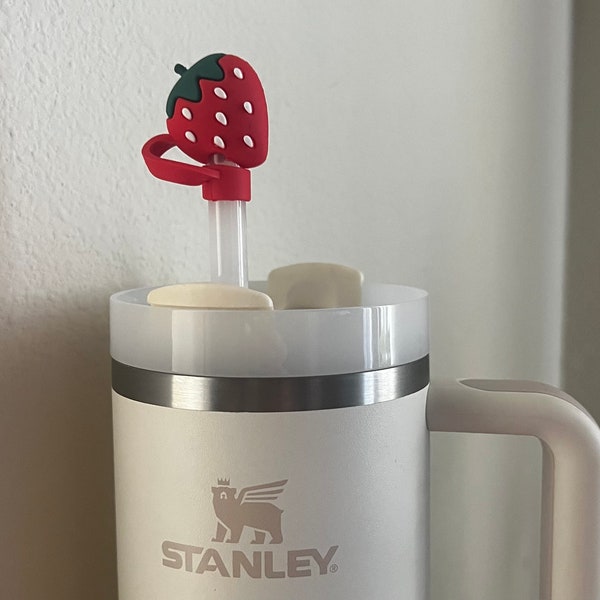 stanley-cup-cute-etsy