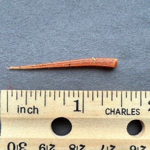 1.5 inch Father Glen, 10 per package