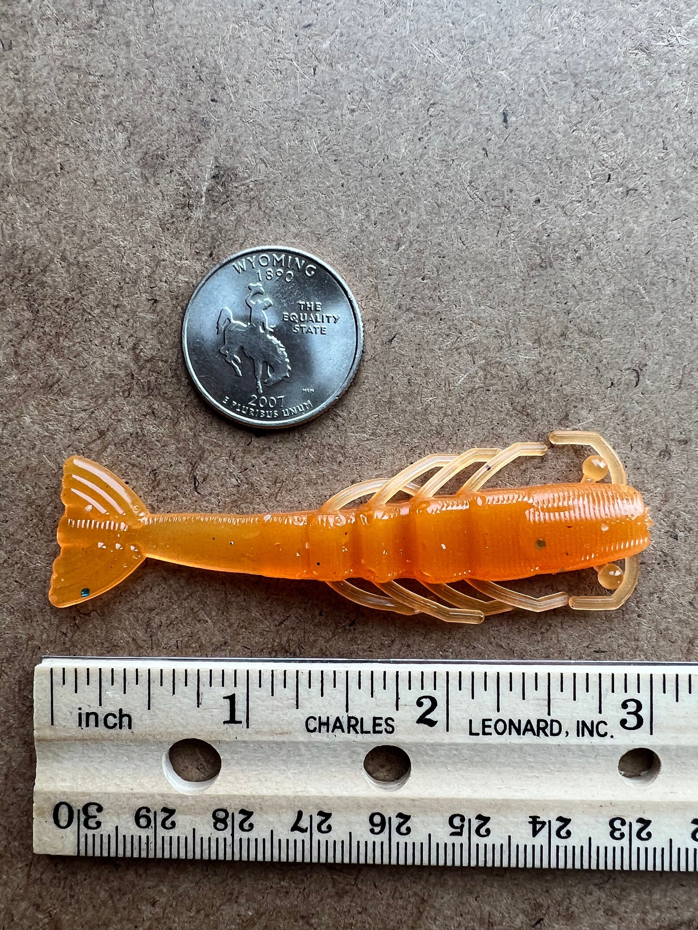 3 Inch Shrimp, 3 per Package - Etsy