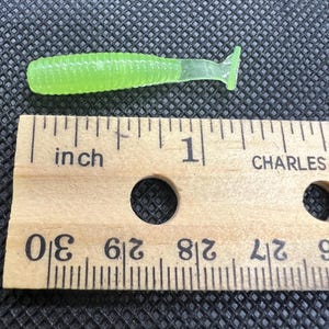 Puede incluir: Un señuelo de pesca de color verde chartreuse con un cuerpo acanalado y una cola plana. El señuelo mide aproximadamente 2,5 cm de largo. Una regla de madera con marcas de pulgadas está al lado del señuelo.