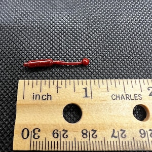 Perch Popper de 1 pulgada, 10 por paquete