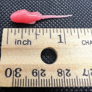 Caramelos de tipo crappie de 1,25&quot;, se venden en paquetes de 10