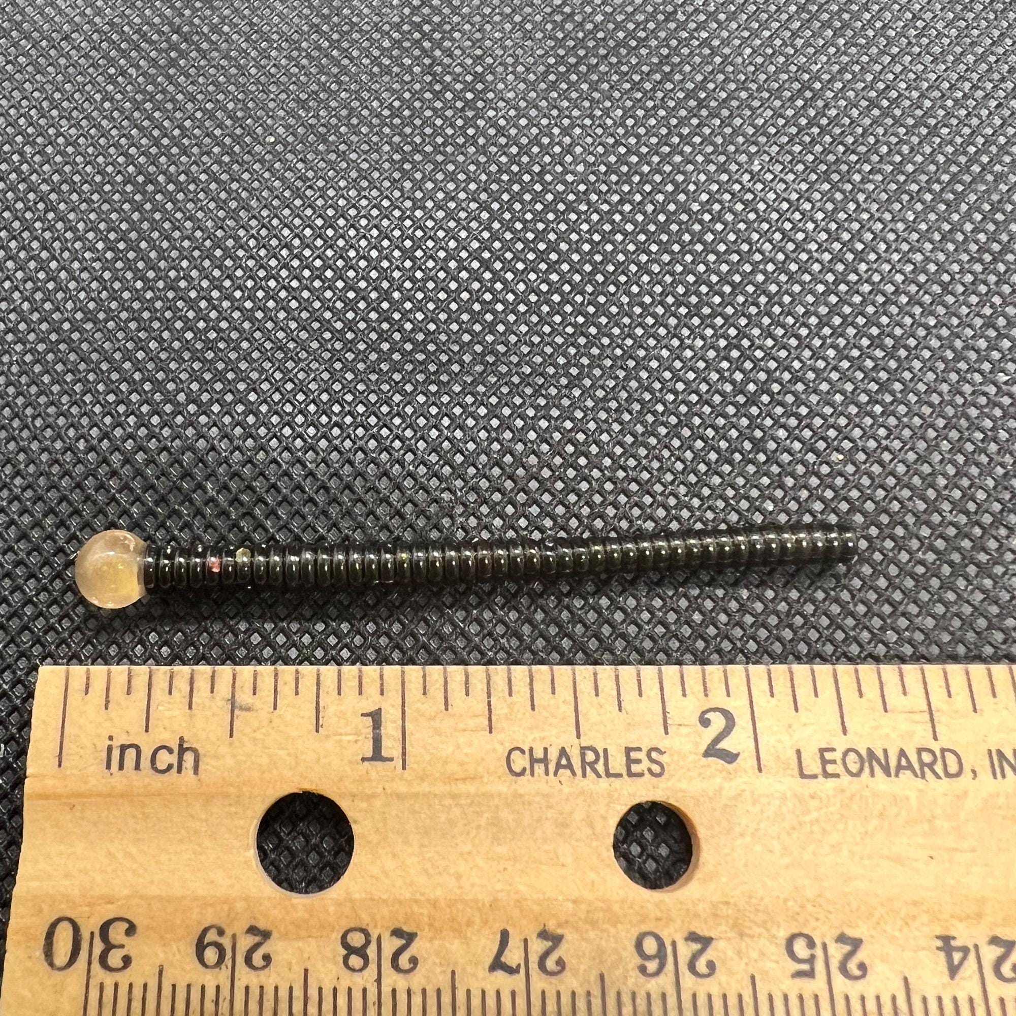 Mouse Tail 2.5