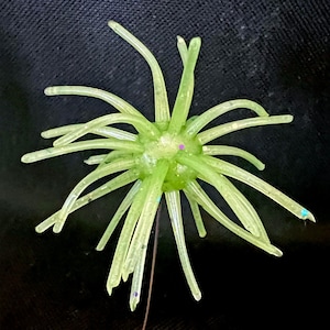 Spyda, se vende 2 por paquete