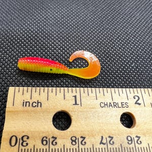 1.75&quot; Single Tail Grub, 10 per package