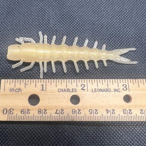 May include: A translucent, light-yellow fishing lure shaped like a segmented insect. The lure is approximately 3 inches long and has multiple appendages. A wooden ruler with inch markings is placed next to the lure.