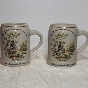 Vintage German Volksmarch Weisbachtal Beer Mug 1990 - Individual Beer Mug