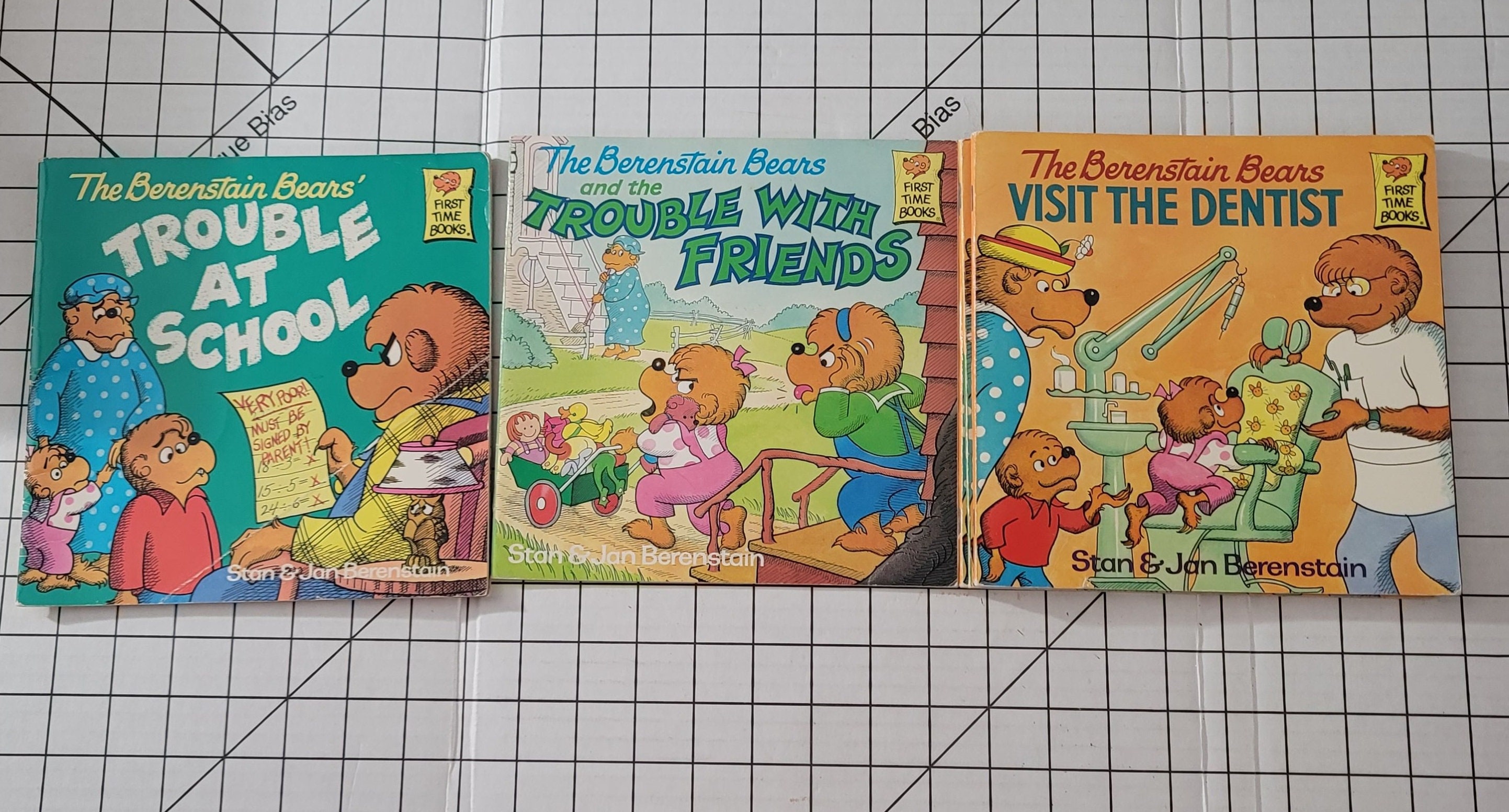Berenstain Bears Books Etsy