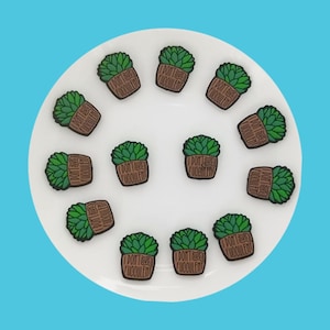 Op de afbeelding: Een wit bord met 12 groene succulenten pinnen. Elke pin heeft een bruine pot en de tekst "Ik heb geen succulent" erop.