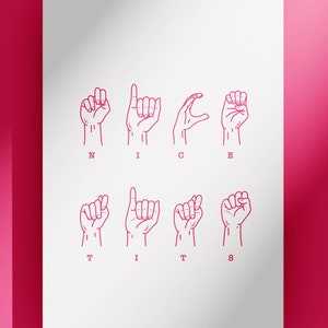 ASL Gebarentaal 'Nice Tits' onbeleefde verjaardagskaart, vriendin, vrouw, valentijnsdag, jubileum, liefde