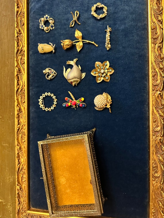 Vintage Broaches and Jewelry Box