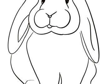 Kids Animal Colouring Pages
