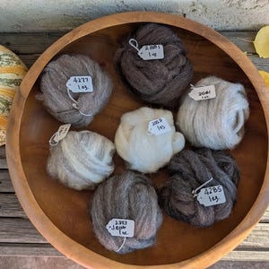 May include: A wooden bowl filled with seven bundles of wool in various shades of gray, brown, and white. Each bundle has a tag with a number and the weight, 1 oz. A decorative pumpkin is visible on the left.