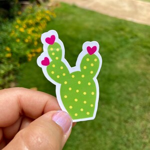 Pegatinas para botella de agua-Pegatinas bonitas-Pegatinas para portátiles-Calcomanías para vasos-Pegatinas para planificador-Cactus y plantas