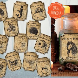 Halloween Potion Labels Printable,  Apothecary Labels, Halloween Labels, Apothecary Label, Primitive Halloween, Haunted House Decor, PDF