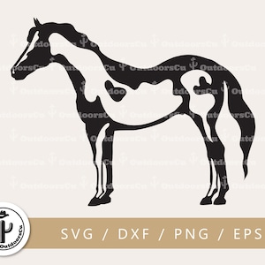 American Paint Horse svg png Plotterdatei| Pinto Pferd svg | Bauernhof Tier Clip art | Western Lustpferd | Silhouette Vektor (OCU-099)