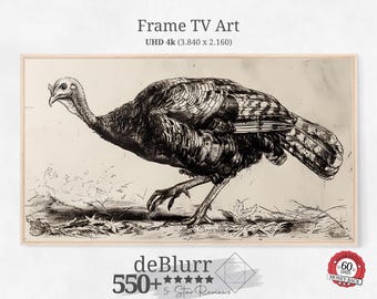 Frame TV Art Thanksgiving Art • Monochrome Turkey • Rustic Fall Decor • Pen and Ink Drawing • Digital Download • for all Frame TV Brand