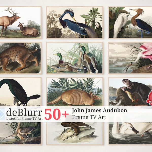 Frame TV Art John James Audubon Paintings Bundle • Set of 50+ Paintings • Instant Download • for Samsung TV