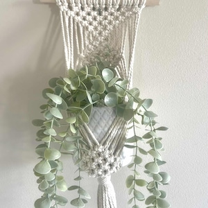 May include: Cream macrame plant hanger with a wooden dowel. It holds a white ceramic pot filled with faux eucalyptus. The eucalyptus has round, light green leaves that cascade down the sides of the pot. The macrame has a tassel.