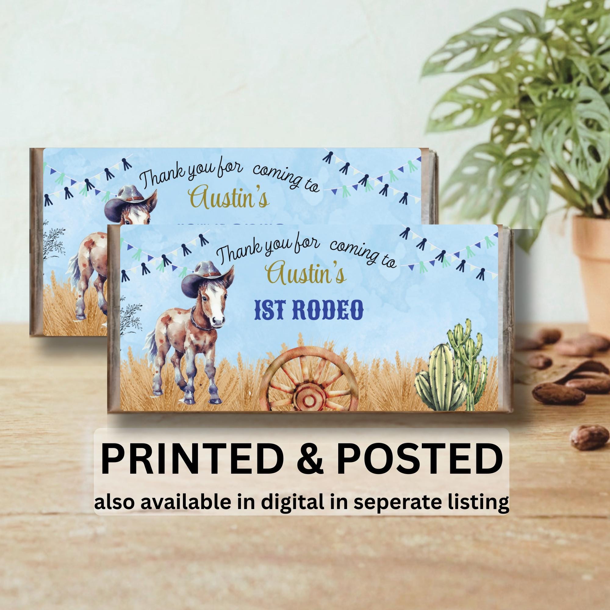 First Rodeo Birthday Party . Custom Birthday Child Birthday Party ...