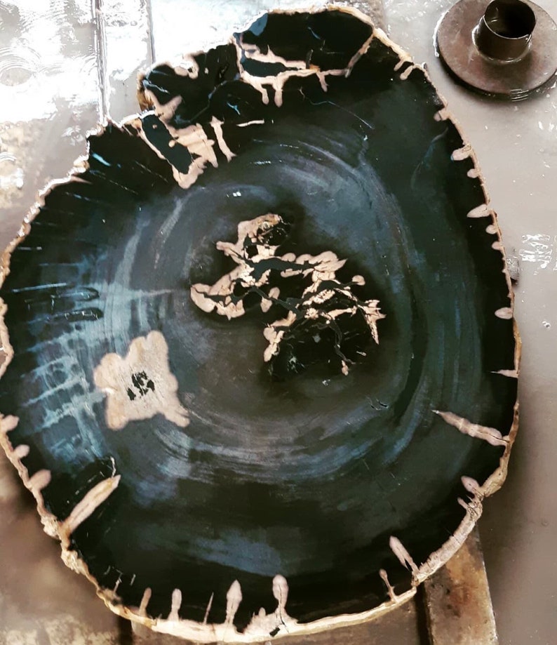 Petrified Wood Coffee Table BLACK Slab Petrify Wood Table Etsy