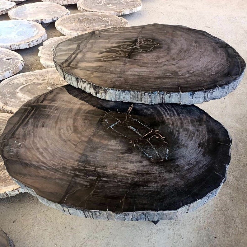 Petrified Wood Coffee Table BLACK Slab Petrify Wood Table Etsy