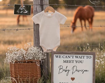 May include: A beige baby onesie hangs on a wooden hanger on a fence post. A sign reads "We can't wait to meet you Baby Davison December 202X" with a heart. A basket of white flowers and an ultrasound image are also present.