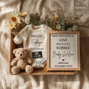 Könnte beinhalten: Ein Weidenkorb enthält einen cremefarbenen Baby-Body mit dem Text "THE LITTLE Embryo THAT COULD", einen Teddybären und eine gerahmte Buchstaben-Tafel. Die Tafel lautet "MADE WITH LOTS OF LOVE AND A LITTLE SCIENCE Baby Wilson ARRIVING DECEMBER 202X".
