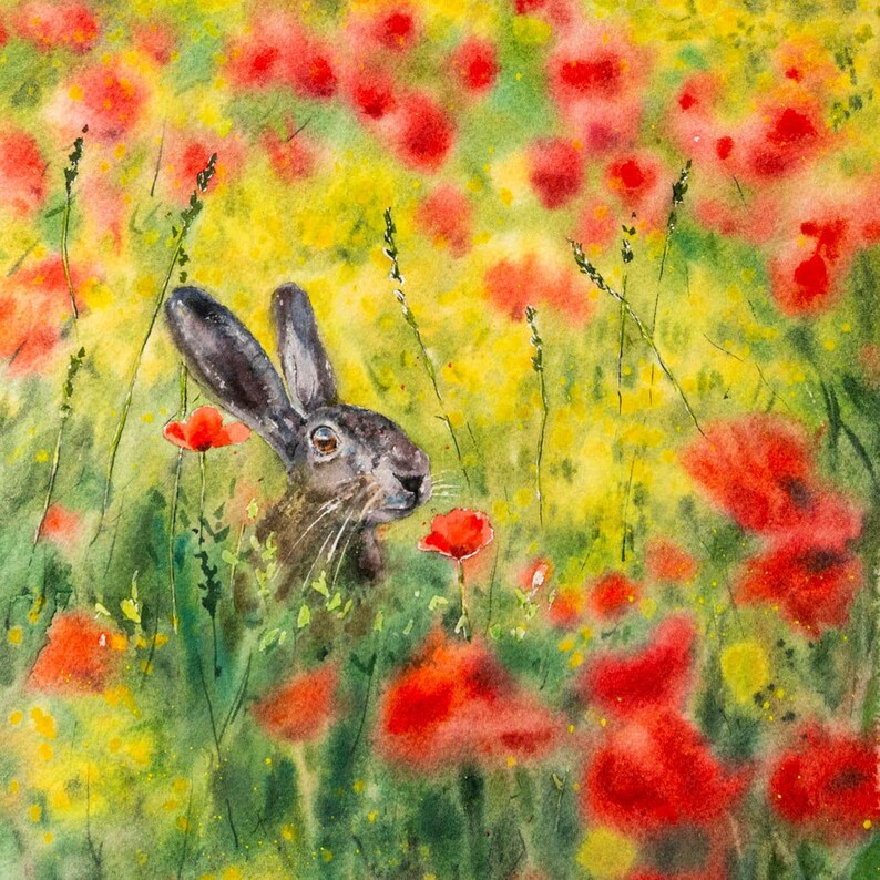 Original Hare Watercolor Painting, Poppy Flower Field, A4 - Etsy