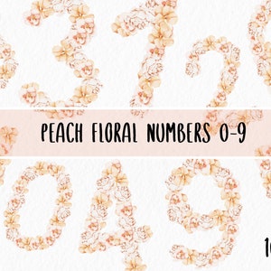 0-9 Acquerello pesca Numeri floreali / Blush beige Peonia Fiore Forme Numeriche Digital Download