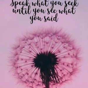 Dandelion
