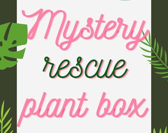 Mystery rescue plant box