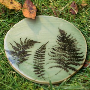 Può includere: Un piatto rotondo in ceramica verde chiaro con un design botanico. Il piatto presenta tre impronte di felci e foglie marrone scuro. Il piatto è sull'erba verde con foglie cadute.