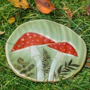 Può includere: Un piatto in ceramica con sfondo verde chiaro raffigurante due funghi rossi a pois bianchi. Il piatto presenta un disegno dipinto a mano di felci e foglie. Il piatto è sull'erba verde con foglie cadute.