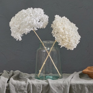 May include: Two white hydrangea flower stems in a clear glass vase. The vase is on a grey linen tablecloth. The flowers have a full, textured appearance, and the stems are crossed inside the vase.
