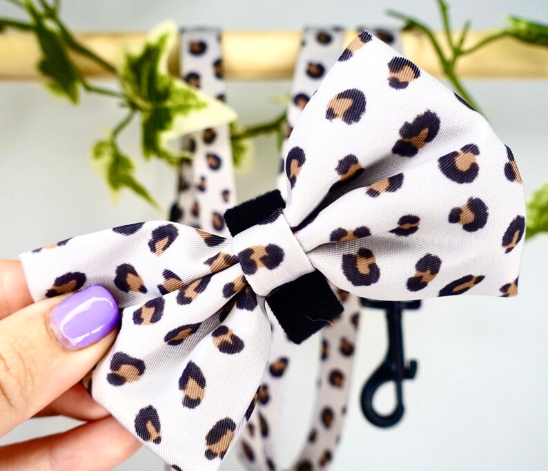 Lovely Leopard Dog Harness Set. Matching Harness Collar Etsy