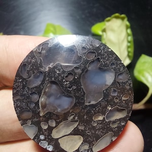 Peut inclure: Une pierre polie de forme ronde, avec une base gris foncé et des inclusions gris clair et beige. La pierre présente un aspect moucheté avec des formes et des motifs irréguliers. La surface est lisse et réfléchissante, avec une esthétique naturelle et terreuse.
