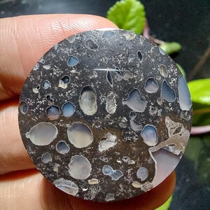 Peut inclure: Une pierre polie et circulaire avec une base gris foncé et de nombreuses inclusions grises claires et bleues. La pierre présente une texture poreuse unique et une forme lisse et circulaire. Une pierre précieuse naturelle.