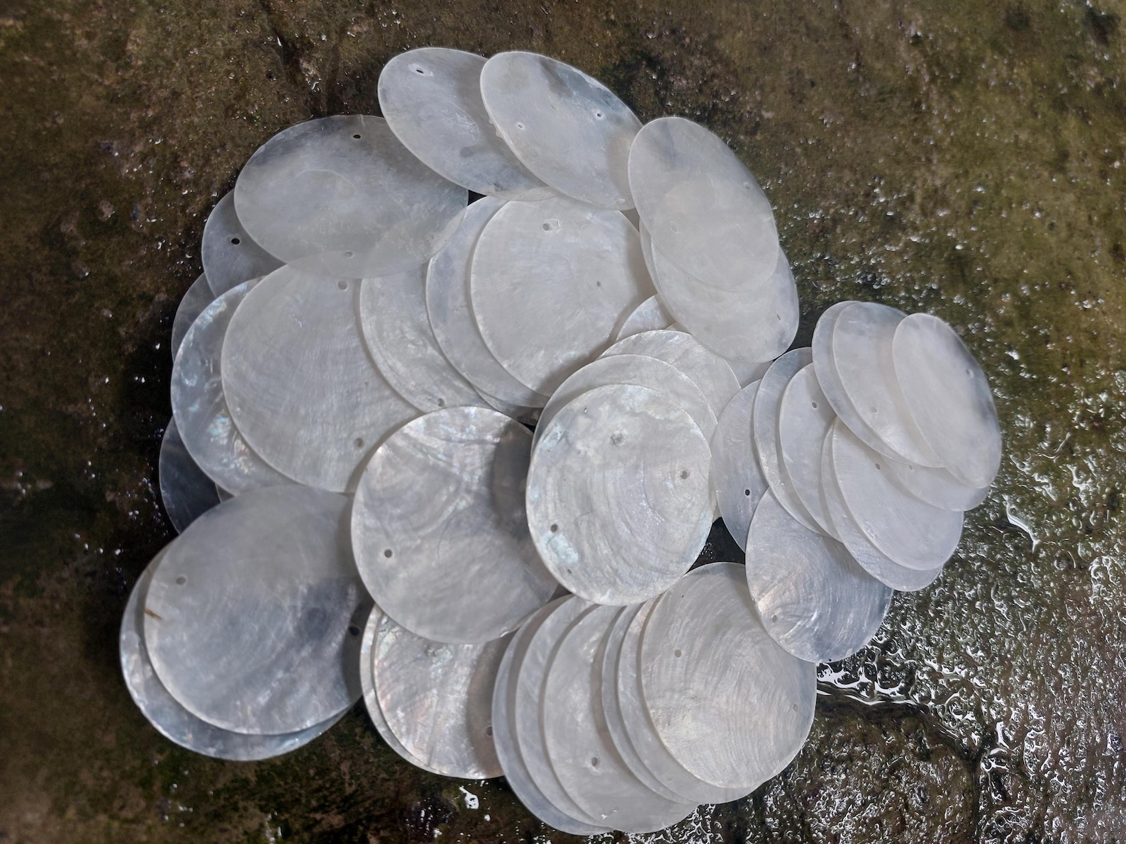 Capiz Shells With Hole (25–150 Pcs) Size 49 Mm / 1.9 Inch - Etsy
