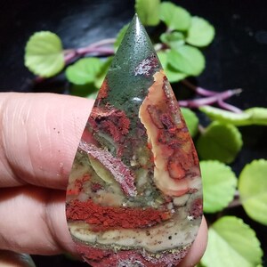 May include: A teardrop-shaped gemstone with a polished surface. The stone features a blend of colors, including deep red, green, and cream. The top portion is a dark green, transitioning to red and cream hues. The stone is held in a hand.