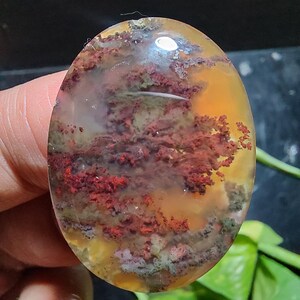 Op de afbeelding: Een gepolijste, ovale agaat met een doorschijnende, melkachtig witte basis. De steen heeft ingewikkelde patronen van rode, oranje en groene dendrieten, die lijken op een landschap.