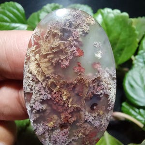 Peut inclure: Un cabochon ovale poli en agate avec un motif dendritique. L'agate est translucide et présente une palette de couleurs blanche, brune et rose. Le motif dendritique est une formation naturelle de dioxyde de manganèse qui ressemble à des branches ou des fougères.