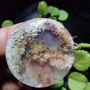 Può includere: Una pietra rotonda e traslucida con un motivo unico di inclusioni simili a muschio nei toni del verde, marrone e bianco. La pietra ha una superficie lucida e un centro viola chiaro. Foglie verdi sullo sfondo.