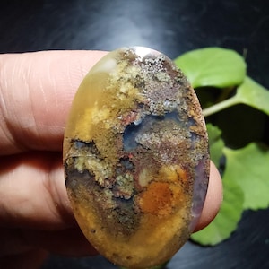 Op de afbeelding: Een ovaalvormige edelsteen met een uniek, natuurlijk patroon. De steen heeft een mix van kleuren, waaronder geel, bruin, groen en vleugjes blauw en rood. Het oppervlak heeft een textuur, die de details van de steen benadrukt.