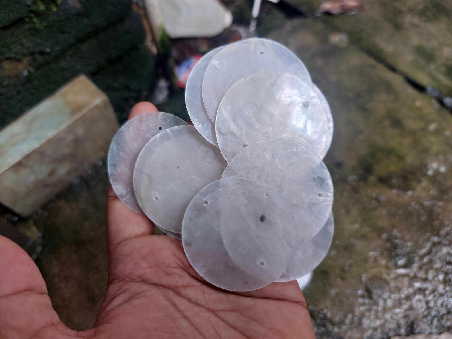 Capiz Shells With Hole (25–150 Pcs) Size 49 Mm / 1.9 Inch - Etsy
