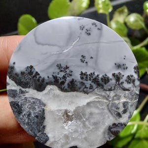 Maligano Landschaftsjaspis Cabochon: Malerischer Edelstein-Anhänger (36x36x6 mm)