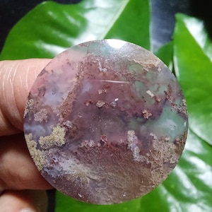 Moss agate cabochon size 28x28x5,8 mm,  scenic dendritic