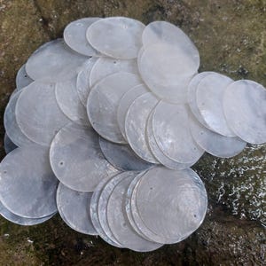 Può includere: Una collezione di dischi rotondi e iridescenti di madreperla. Ogni disco ha un piccolo foro vicino al bordo. I dischi sono disposti in un mucchio su una superficie strutturata e bagnata. Il colore è principalmente bianco con una sottile iridescenza.